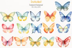 butterfly animals Watercolor 64 Cliparts Collection Product Image 2