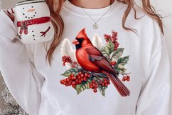 Christmas Cardinal Watercolor Clipart, Christmas Cardinal Product Image 2