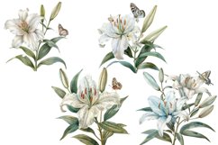White Lily Flower Clipart, Watercolor Floral Wedding Product Image 2