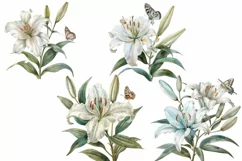 White Lily Flower Clipart, Watercolor Floral Wedding Product Image 2