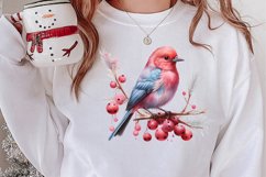 Christmas Birds Clipart , Christmas Birds Clipart Product Image 2