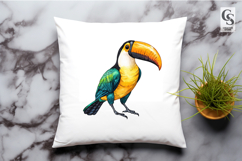 Toucan Bird Clipart PNG Product Image 2
