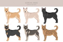 Korean Jindo clipart Product Image 4