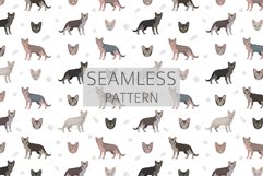 Lykoi cat clipart Product Image 6