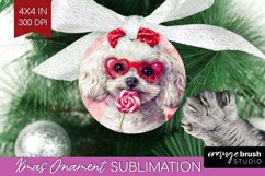 Bichon Frise Valentine Ornament PNG Valentines Day PNG Product Image 1