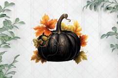 Black Pumpkins Sublimation Clipart Product Image 1