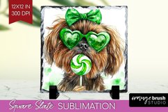 Brussels Griffon St. Patricks Day Dog Slate PNG Dog Square Product Image 1