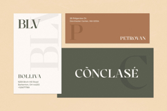 Cronisse - Modern Display Serif Product Image 2