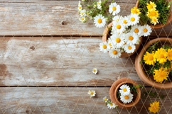 Sunflowers Background PNG, Wooden Background Designs Product Image 2