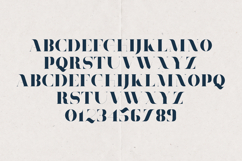 Tamira Modern Serif Elegant High Contrast Display Product Image 2