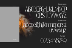 Univars - Sans Serif Simple Product Image 2