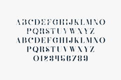 Defect Distressed Vintage Serif Font Product Image 2