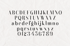 Black Goose Rounded Serif Font Product Image 2