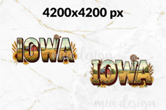 Iowa State Pride PNG, Vintage Farmhouse sublimation Design Product Image 2