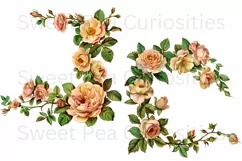 Flowers, Junk Journal, PNG, Clipart, Ephemera, Botanical Product Image 2
