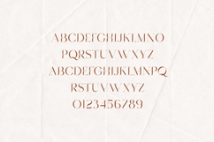 Mickle Elegant Serif Font Product Image 2