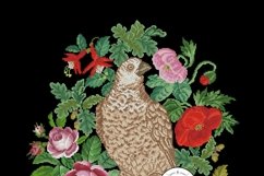 Vintage Cross Stitch Scheme Falcon Product Image 3