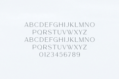 Story Type Elegant Modern Serif Font Product Image 2