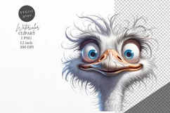 Ostrich clipart, Bird clipart, Funny clipart Product Image 1