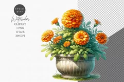 Flowers clipart, Marigolds clipart, Spring clipart, Product Image 1