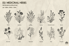 Medicinal herbs Svg Png Eps Product Image 2