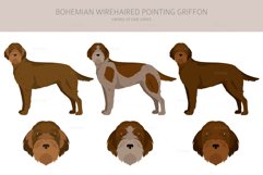 Bohemian Wirehaired Pointing Griffon Product Image 4