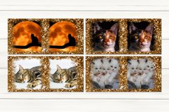9 Cats Mug designs | Sublimation design bundle, JPG Product Image 2