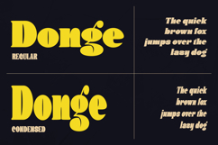 Donge | Display Font Product Image 2