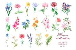Blooming flowers watercolor clipart. Wildflowers Product Image 3