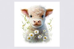 Highland cub clipart, Baby cow clipart, Highland cow Product Image 2