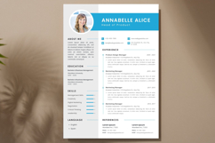 02 Professional Resume Template - Canva Product Image 2