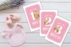 Baby Milestones for Baby Girl Photo Booth Props Product Image 2