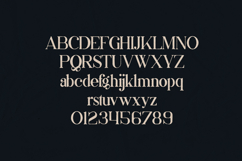 Akrasia Organic Serif Font Product Image 2