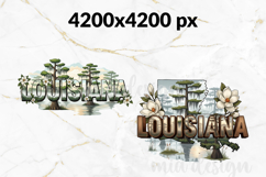 Louisiana PNG, Vintage State Pride Sublimation Design Product Image 2