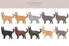 Berger Picard clipart Product Image 2