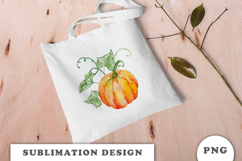 Watercolor Autumn Pumpkin png Product Image 2