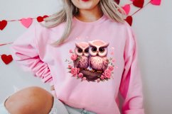 Owl Valentines Day Sublimation Clipart, Christmas Clipart Product Image 2