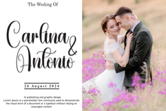 Bridging Product Image 2