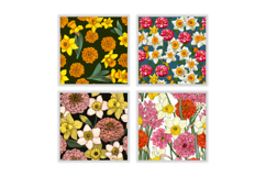 Daffodil Flower &amp; Zinnia Flower Digital Paper Product Image 2