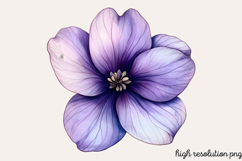 Spring Hyacinth Flower Clipart Bundle PNG Product Image 3