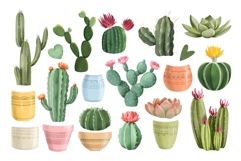 Watercolor Cactus Clipart , Succulent PNG, Desert Plants Product Image 2