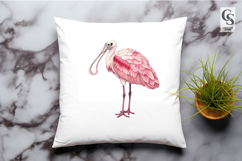 Pink Spoonbill Watercolor PNG Clipart Product Image 3