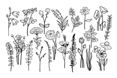 Wildflower SVG PNG Bundle Product Image 3