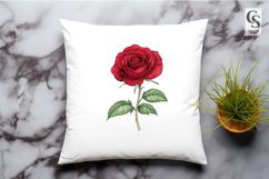 Red Rose Botanical Illustration Clipart Sublimation PNG Product Image 3