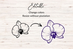 Orchid Flower SVG Product Image 2