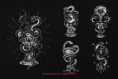 10 Bundle Dark Art Holy Grail Magical Skull Poison Snake Product Image 3