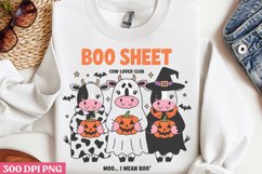 Boo Sheet PNG, Funny Sarcastic Sublimation Quotes P Product Image 3