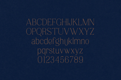 Marka Elegant Serif Font Product Image 2