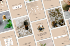 Essential Oil Instagram Templates Vol. 1 Product Image 2