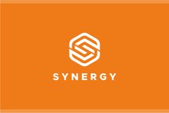 Synergy - Letter S Hexagon Logo Template Product Image 2